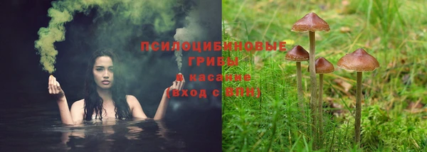 ешки Абинск