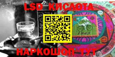 крисы Берёзовский