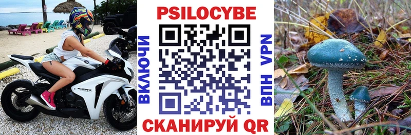 Псилоцибиновые грибы Cubensis  как найти закладки  blacksprut вход  Вичуга 