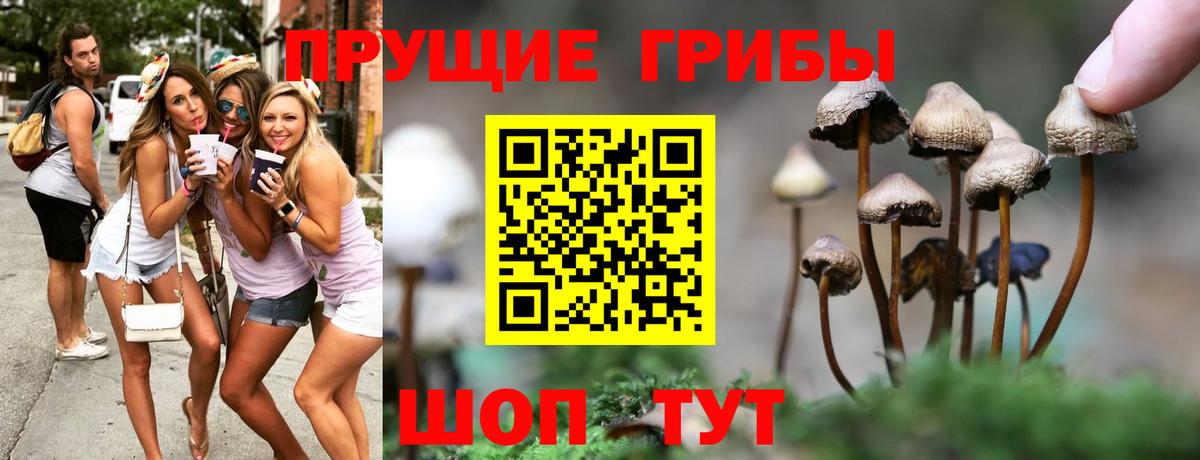 Псилоцибиновые грибы ЛСД  Вход с VPN  Вичуга  Псилоцибиновые грибы мухоморы 